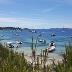 Julie Thiede - @julie.thiede.3 - Instagram