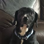 Julie Trimble - @murphy_madness - Instagram