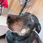 Julie Trimble - @trimble13j - Instagram