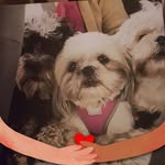 Julie Purdy - @julie_tulleypurdy_ - Instagram