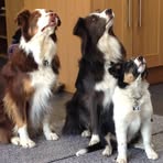 Julie Turrell - Facebook