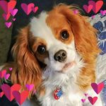 Julie Turrell Byrne - @turrellbyrne - Instagram