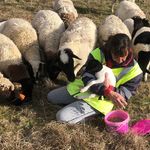 Julie Venables - @venables_julie - Instagram
