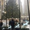 Julie Vickers - @julievickers2 - TikTok