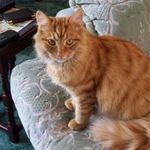 Julie Vickers - @vickers6136 - Instagram