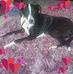 Julie Vickers - Facebook