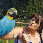 Julie Vickers - @vickersjulie007 - Instagram