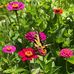 Julie Viger - Facebook