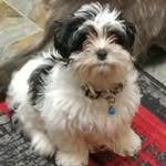 Jules Ryan - @julieweger7 - Instagram