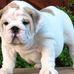 Julie Wesson - Facebook