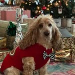 Julie Wesson - @julie196650 - Instagram
