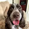 Julie Wightman Outla - @juliewightmanoutlaw - TikTok