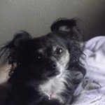 Julie Wilde - @julie_wilde2002 - Instagram