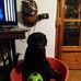 Julia Liliana Willmann - Facebook