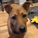 Julie Wimer - @julie_wimer - Instagram