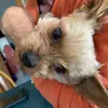 Julie_WF - @juliewimmerfile - TikTok
