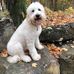 Julie Wind Heinz Hopper - Facebook