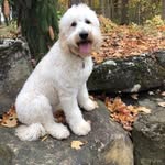 Julie Wind Heinz Hopper - @juliewheinz - Instagram