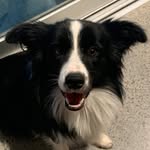 Julie Wind Hoey - @hoeys3 - Instagram