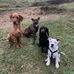 Julie Windsor - Facebook