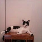 Julie Wineman - @juliewineman - Instagram