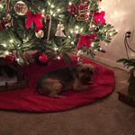 Julie Winger Gibbs - @gibbs3503 - Instagram