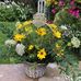 Julie Wirth - Facebook