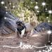 Julie Witte - Facebook