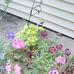 Julie Witte - Facebook