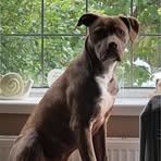Julie Wright - Facebook