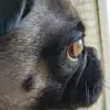 Julie Wright - @julie.wright770 - TikTok