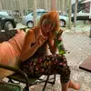 Julie Ann Wurst - @julie.ann.wurst - TikTok