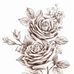 Julie Stroup Wurst - Facebook