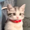 Kiki - @juliewurster7 - TikTok