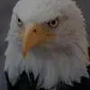 Julien Brice - @julien.brice7 - TikTok