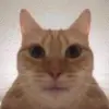 Julien Gomez - @juliengomez_ - TikTok