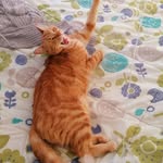 Julien Terrier - @julien.terrier3 - Instagram