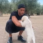 Julien terrier - @julienterrier02 - Instagram
