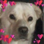 Julie Bowden - @julie.bowden.589 - Instagram
