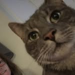 Julie Bowden - @julie.bowden.980 - Instagram
