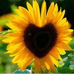 Julie Bowden Raney - @raneyj1968 - Instagram