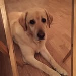Julie Breen - @breen_j - Instagram