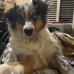 Julie Cramer - @behrmaverick - Instagram