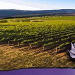 Juliet Cullen - @xpeakwine - Instagram