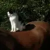 Juliet Edwards - @juliet.edwards02 - TikTok