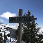 Juliet Field - @jules_oninsta - Instagram