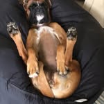 Julie Forrest - @julie.forrest.58 - Instagram