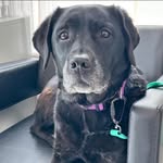 Juliet Hall - @juliethall7070 - Instagram