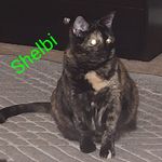 Julie Harmon - @julie.harmon.5492 - Instagram