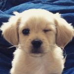Juliet Page - @juliet_page_ - Instagram